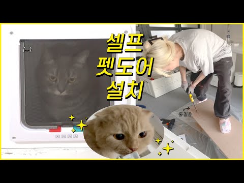 2만원으로 펫도어 만들기! / 셀프 인테리어/ 셀프 페인팅, 톱질 / 고양이 나와요 😻
