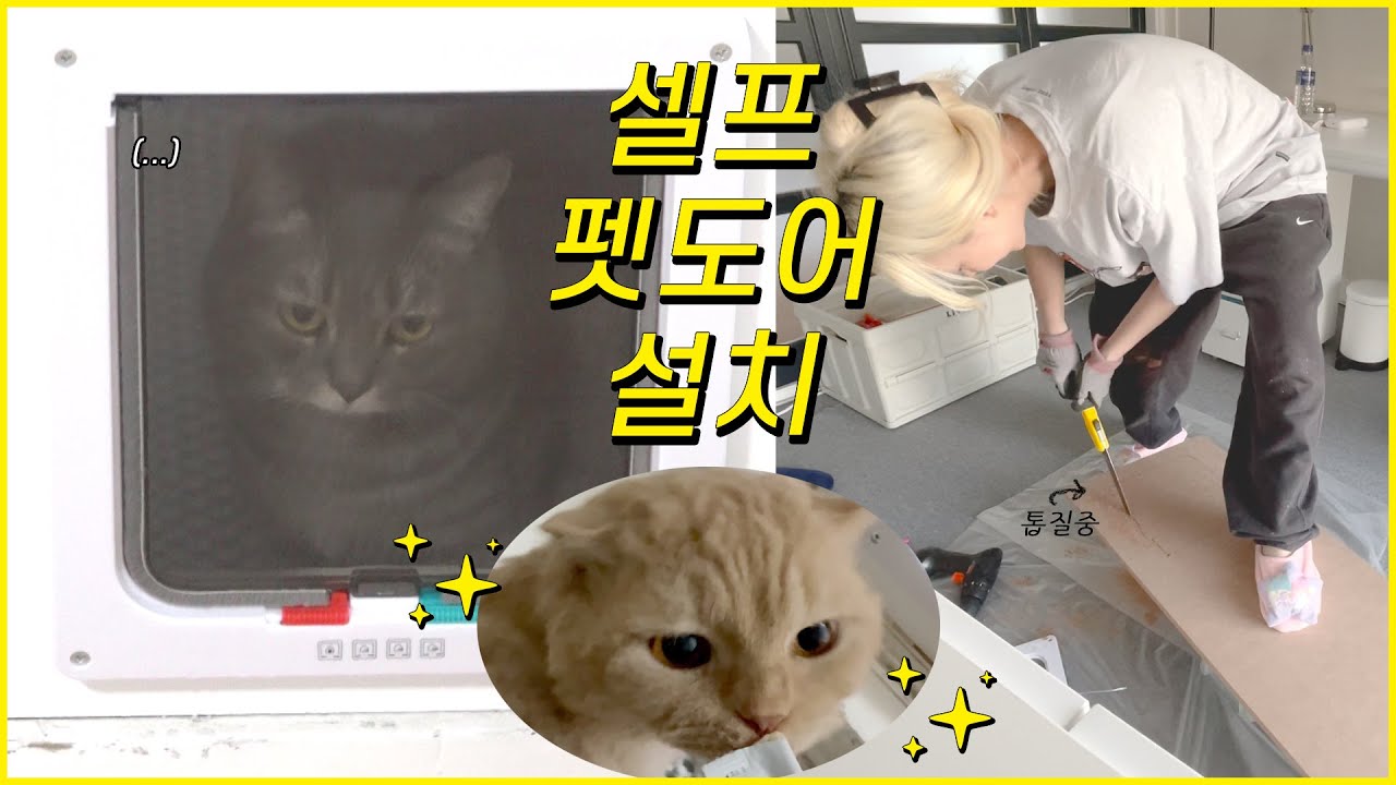 2만원으로 펫도어 만들기! / 셀프 인테리어/ 셀프 페인팅, 톱질 / 고양이 나와요 😻