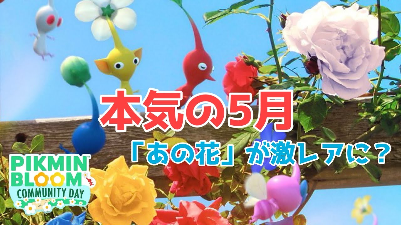 5月のコミュニティデイは薔薇 なにやら凄いキャンペーンも来るぞー ただし 良い話ばかりではなく ピクミンブルーム Pikmin Bloom Youtube 5月のコミュニティデイは薔薇 なにやら凄いキャンペーンも来るぞー ただし 良い話ばかりではなく ピクミンブルーム Pikmin Bloom Youtube