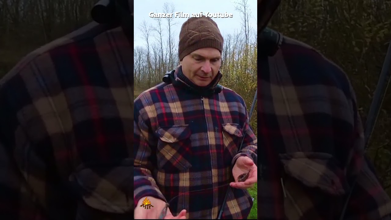 Beste QUAPPEN Köder Montagen 