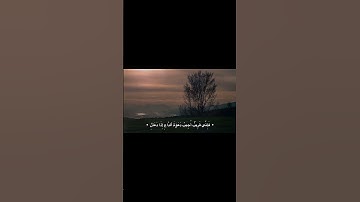 #قران_كريم #عبدالباسط_عبدالصمد #quran #اللهم_صل_على_محمد_وال_محمد #اجر_لي_ولكم #سورة_البقرة #تلاوة