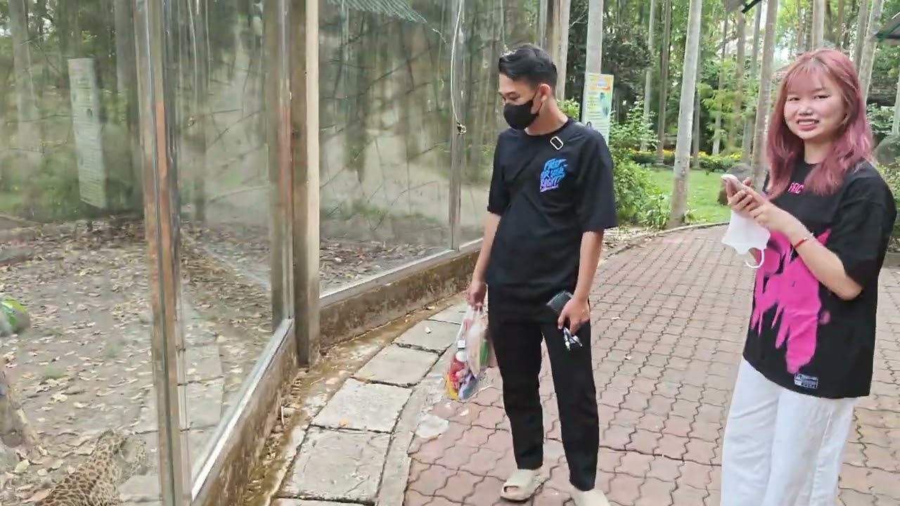 Thảo Cầm Viên ngày 8 tết 2026.