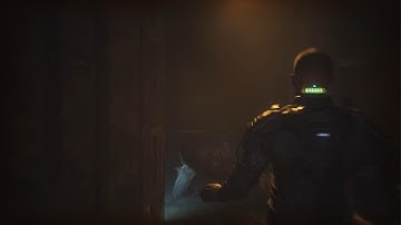 The Callisto Protocol reload ??