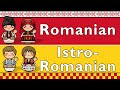 Romanian  istroromanian languages