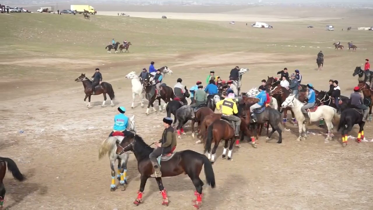 Ордабасы көкпар 06 01 2023ж