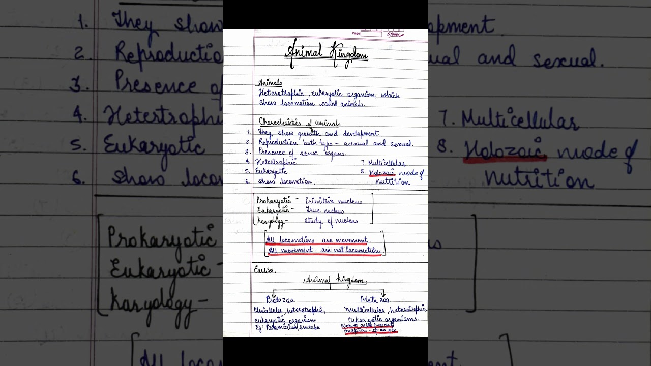 Full Notes of Animal Kingdom | Class 11 - YouTube