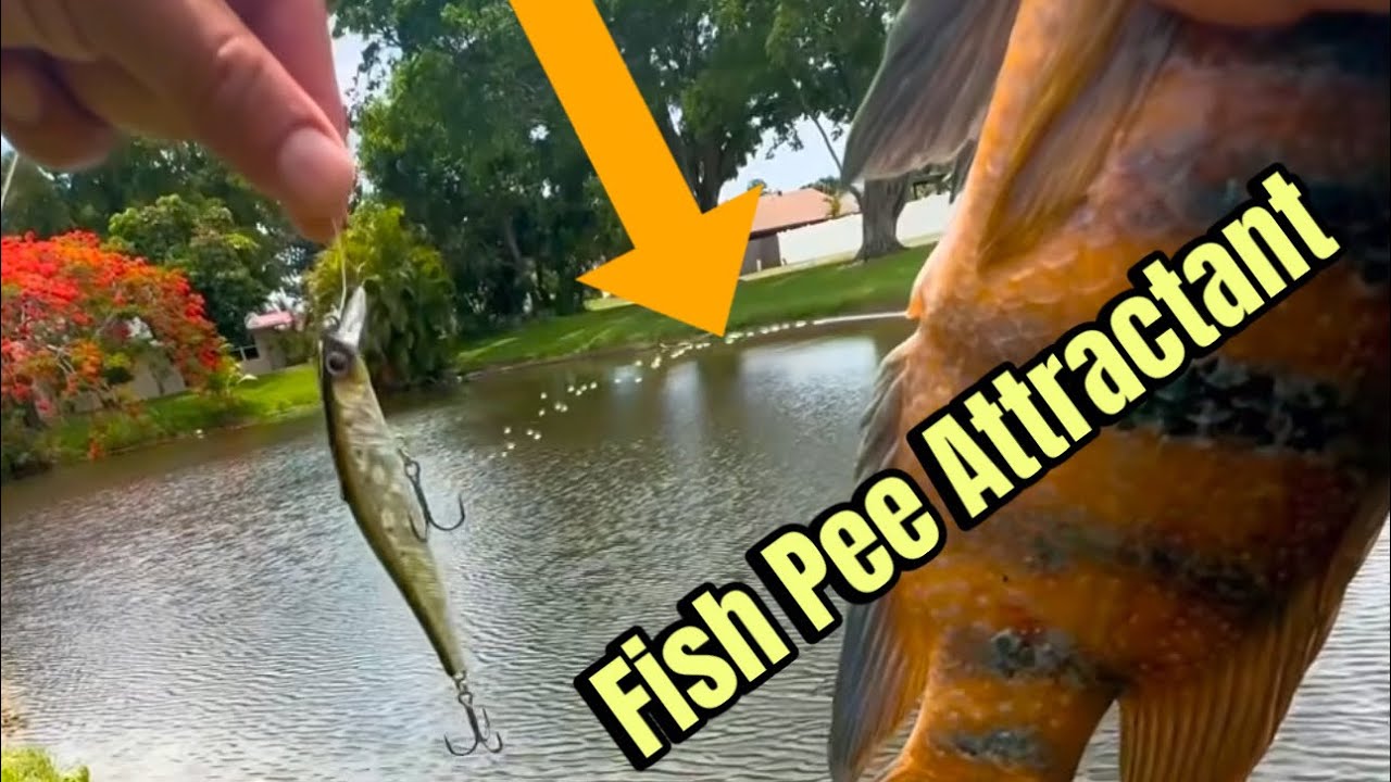 The Most Effective Lure Scent Ever Made