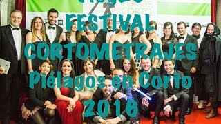 VII Edición Festival Internacional Cortometrajes Piélagos en Corto