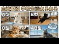 学校生活で性格が違う猫達の個性爆発【血液型あるある】
