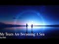 M83 - My Tears Are Becoming A Sea || Orchestral Cover