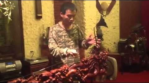 Lời ca dâng Bác - NSND: Hoàng anh  Tú. Video của Nghệ sĩ Hồng Việt.