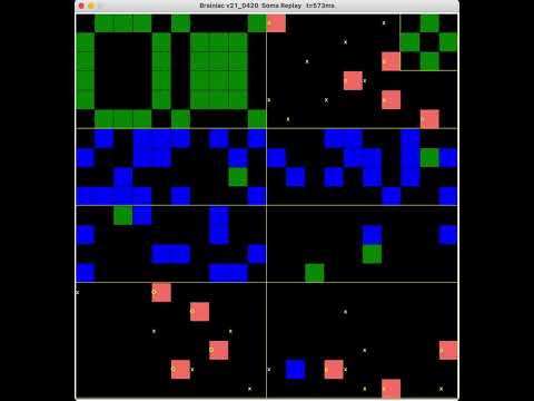 Simulation replay of brain learning eye/ear association