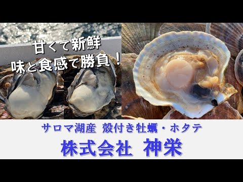 ふるさと応援!【(株)神栄】~味と食感で勝負!サロマ湖のホタテと牡蠣~