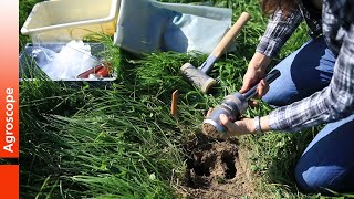 Diagnosis of the quality of soil structure and compaction - STRUDEL method