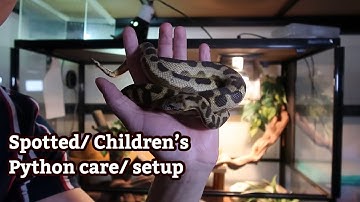Spotted/Childrens Python care/setup
