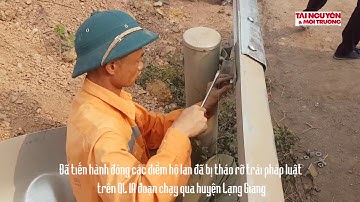 hộ lan 1