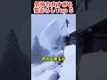 見てるだけでスッキリ!雪落ち瞬間ベスト5が気持ちよすぎた