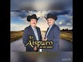 “Atrapado” los aispuro de durango (en vivo)