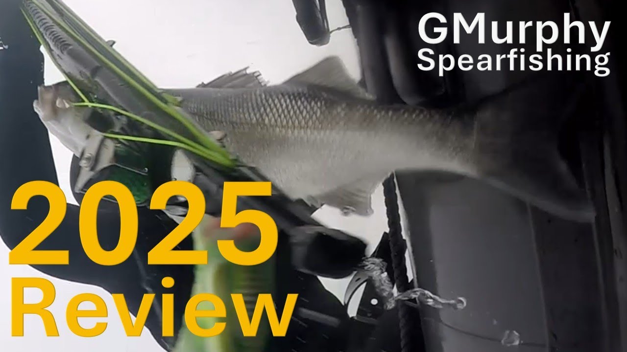 2025 Spearfishing Full Year Review