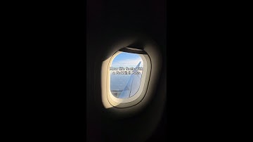 How Life Feels with a GoWild! Pass