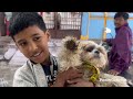 Life in INDIA | Japan Telugu Vlog