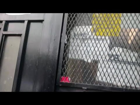 rant-nycha,-mold,-asbestos-now-pandemic?!-she-needs-to-step-down,-my-family-is-high-rank-govt,-pt.2