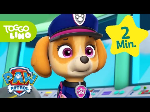 PAW Patrol Deutsch | Verwandlung im Traum | Helfer auf vier Pfoten | Toggolino Serien