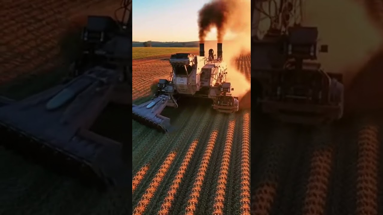 Where Determination Drives the Harvest”