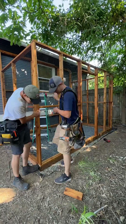 Building a Catio 🐈‍⬛🖤 #catio