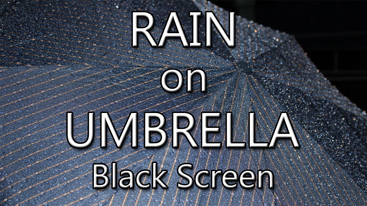 Rain Sounds Under Umbrella | Rain On Umbrella | Black Screen