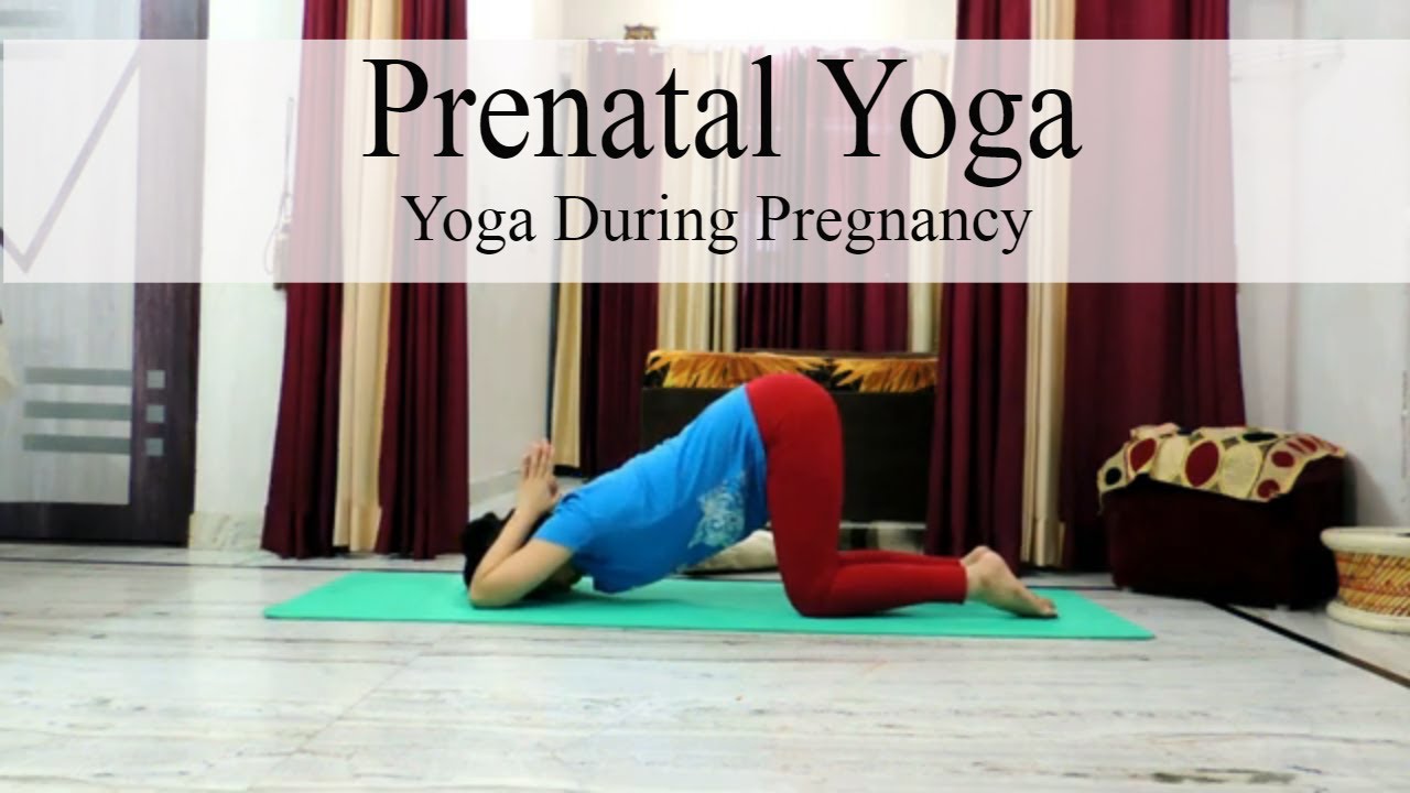 Prenatal Yoga Yoga for Pregnant Mothers Indian Yoga with Dolly's