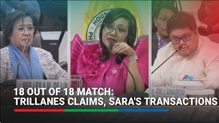 Random check: Trillanes exposé, VP Sara's transactions in AMLC report align | ABS-CBN News