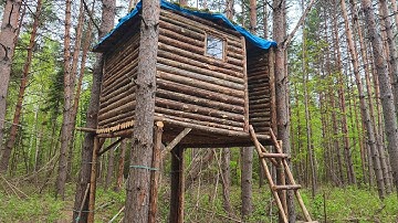 Building a TREE HOUSE alone part 8