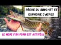 Pche du brochet et euphorie daspes brochet aspe pche