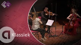 Dvořák: Piano Quintet No. 2 in A major, Op. 81 - Harriet Krijgh & Friends - Live concert HD
