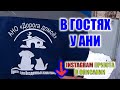 ФЕСТИВАЛЬ ВОЛОНТЕРСТВА ПРОШЁЛ У АННЫ В ПРИЮТЕ,ПОМОГАЛИ С ЭКСКУРСИЕЙ.