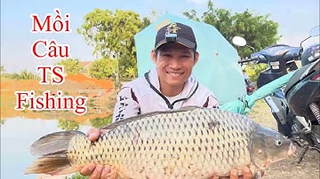Mồi câu Cá Chép | Trải nghiệm mồi câu Cá Chép TS Fishing | Đạt Anh Fishing