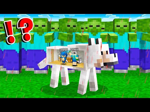 ENES VS MİNECRAFT #263