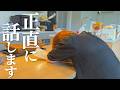 【暴露】食費が歯止めが効かなくなったのでクレカ辞めました