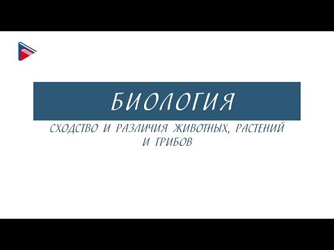 7 класс - Биология - Сходство и различия животных, растений и грибов