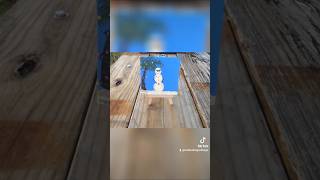 Shelldon  4x4in beach snowman  tutorial #christmaspainting #snowmanpaintingtutorial #arttok