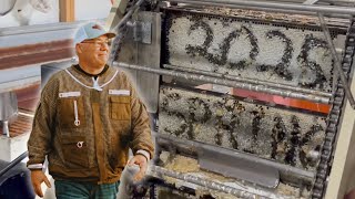 We Harvested Over 2000 Pounds of Honey