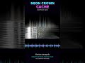 Neon Crown Cache - Florian Asnaprik (new vertical visualizer)