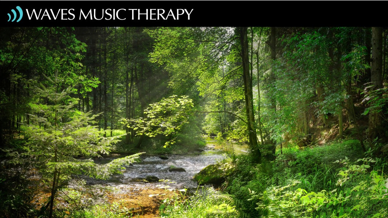 Nature Sounds Forest Stream and Birds Singing for Peaceful Relaxation ...