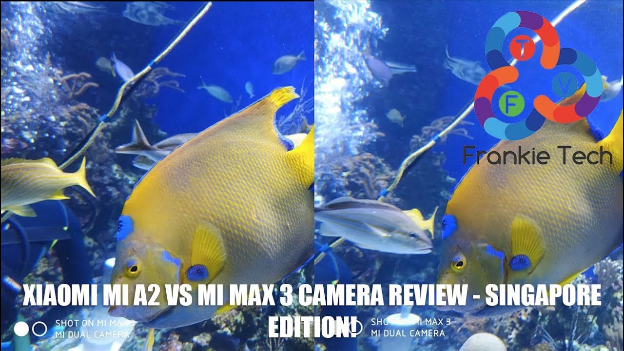 Xiaomi Mi A2 vs Mi Max 3 Camera Review - Singapore Edition!
