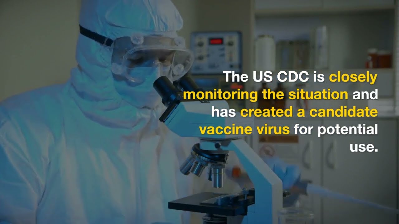 WHO Chief Scientist Warns of Highly Pathogenic Bird Flu Spread - The News Bites