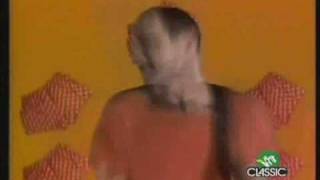 Video thumbnail of "Hoodoo Gurus - Miss Freelove '69"