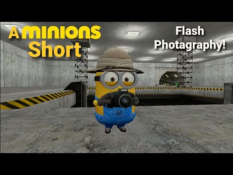 A Minions Short: Flash Photagraphy!