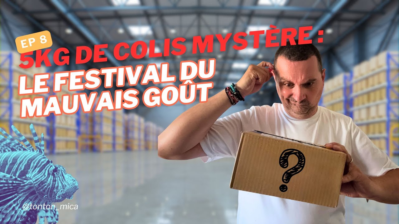 Colis Mystère 5kg560 - Lot Surprise D'articles D'occasion, Poids Environ 5,56 Kg