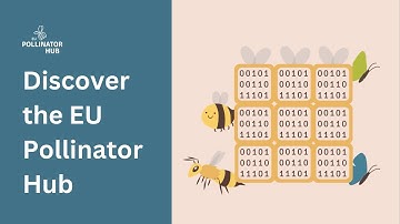 Discover the EU Pollinator Hub